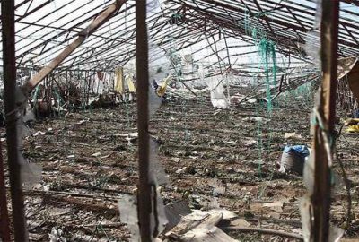 Antalyalı afetzedelerin borçları ertelenecek