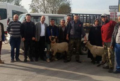 Genç çiftçiye destek sürüyor