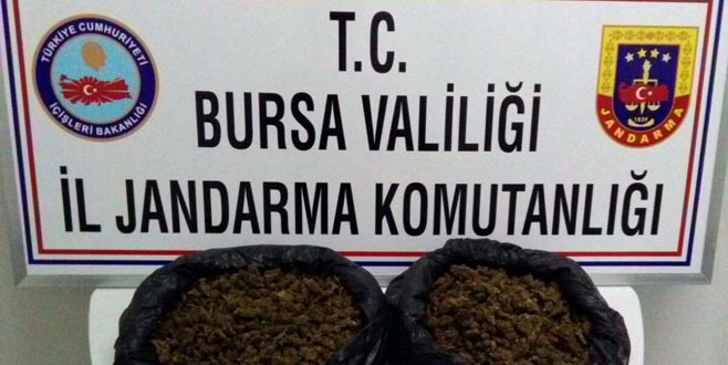 Bursa’da 1 kilo 900 gram ‘skunk’ ele geçirildi