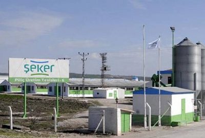 Şeker Piliç elde kaldı