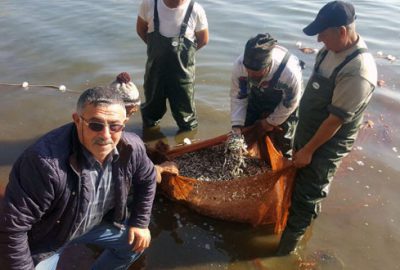 İznik Gölü balıkçısı eski günleri arıyor