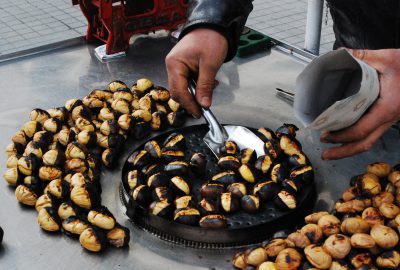 Kestane bağışıklık dostu