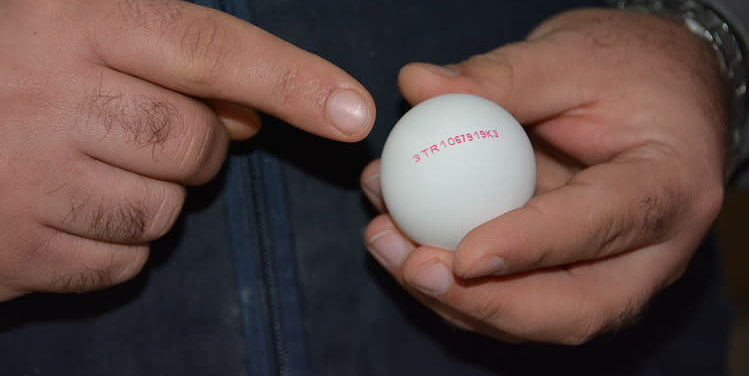 Yumurta satışında yeni dönem! Bu numaralara dikkat Yumurta satışında yeni dönem! Bu numaralara dikkat