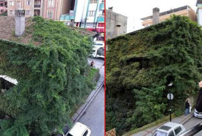 Gören bir daha bakıyor!