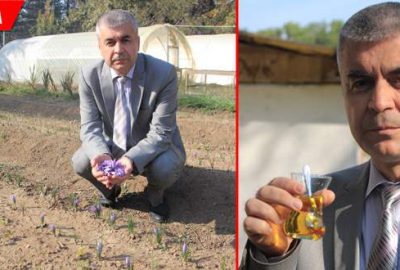 Çiftçiye alternatif ürün: Safran