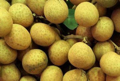 Hem diş ve diş eti hastalıklarına hem kalp hastalıklarına hem de terleme sorunlarına birebir!