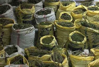 Diyarbakır’da 744 kilogram esrar ele geçirildi