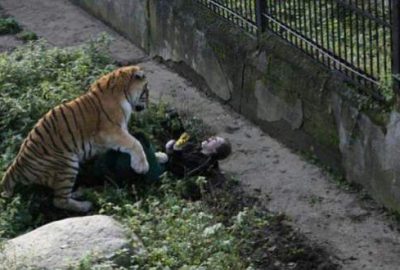 Kaplan kafesinden kaçıp kadın görevliye saldırdı