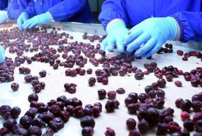 Rekolte düştü, fiyatı 3’e katlandı