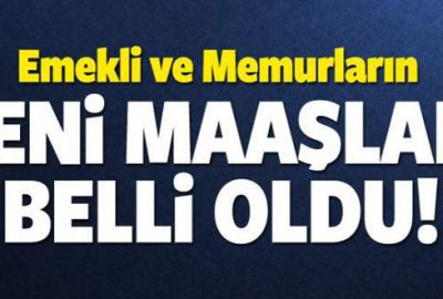 Memur ve emeklinin zam oranı belli oldu! İşte yeni maaşlar…
