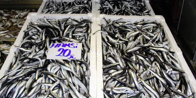 Hamsinin de tadı kaçıyor