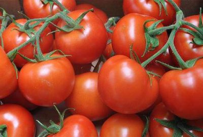 Domates fiyatlarını ihracat uçurdu