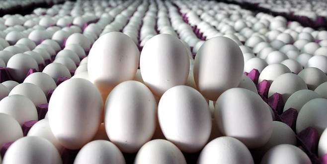 Organik yumurta kandırmacası bitti!