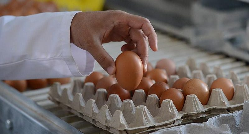 Türk Veteriner Hekimleri Birliği Merkez Konseyi Başkanı Gözet, "Türk Gıda