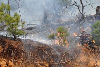 İnegöl’de ormanlık alanda yangın