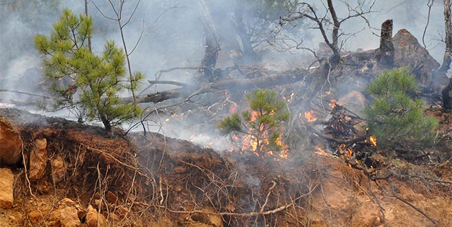 İnegöl’de ormanlık alanda yangın