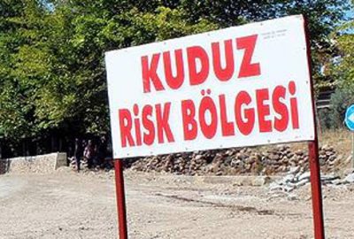 Kuduzla mücadeleye uçaklar da katılacak