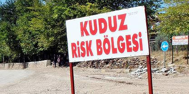 Kuduzla mücadeleye uçaklar da katılacak