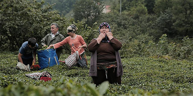 ‘Kuş dili’nin anavatanı Kuşköy’de UNESCO sevinci