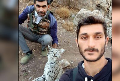 Vaşak katillerinin cezası belli oldu