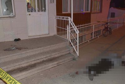 Annesini rahatsız eden kişiyi pompalı tüfekle öldürdü
