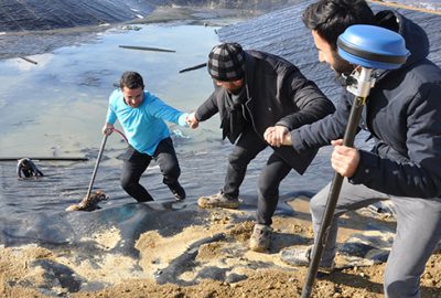 Bursa’da tilki kurtarma operasyonu 
