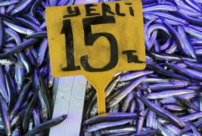 Hamsi fiyatları üçe katlandı