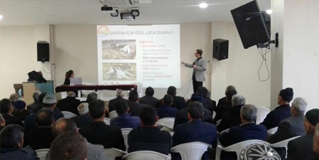 Büyükorhan’da buzağı ölümlerini önleme seferberliği 