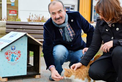 Mudanya’da kediler artık üşümeyecek