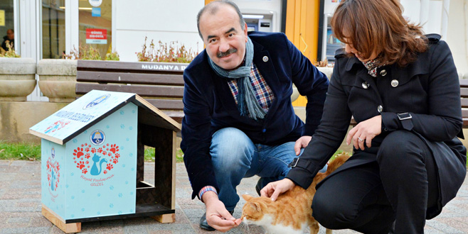Mudanya’da kediler artık üşümeyecek