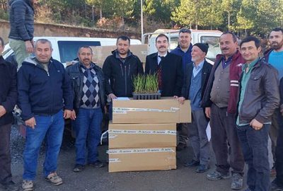 Büyükorhan Yaban Mersini üssü olacak