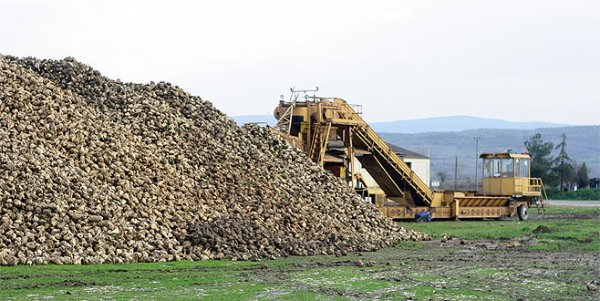 Erdem: Pancarda polar oranı sabitlenmeli