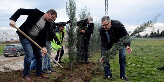 Yeşil Karacabey için ağaçlandırma 