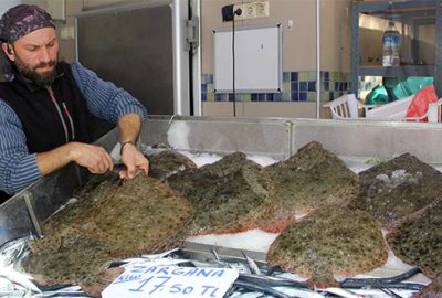 Kalkan balığının fiyatı el yakıyor