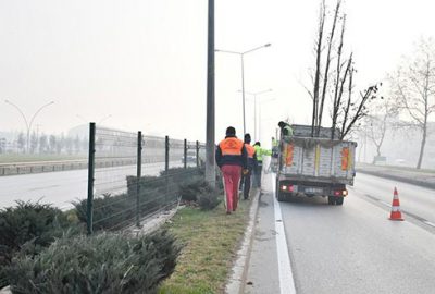 Bursa-Ankara yolu ağaçlandırıldı 