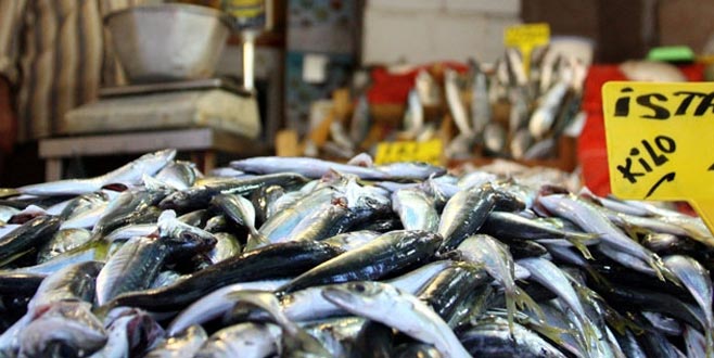 Balığa etiket önerisi Balığa etiket önerisi