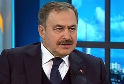 Bakan Eroğlu’dan Gölcük açıklaması