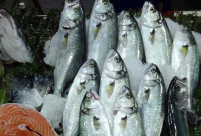 Lüfer kıymayı beşe katladı