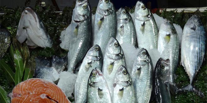 Lüfer kıymayı beşe katladı