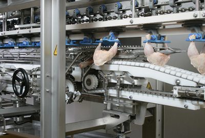 HasTavuk gurur tablosunda