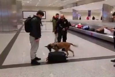 Hollanda’daki köpekli aramaya Atatürk Havalimanı’nda karşılık