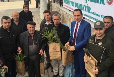 Ağaç kesme fidan dik