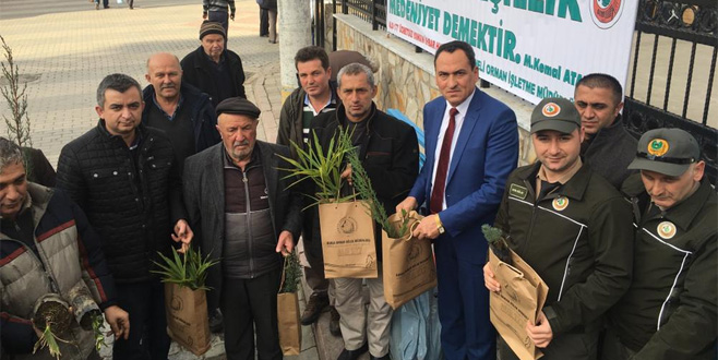 Ağaç kesme fidan dik