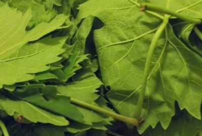 O hastalığa ilaç gibi geliyor…