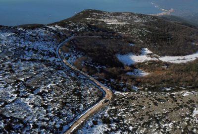 Gemlik’e yeni orman