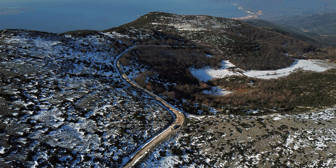 Gemlik’e yeni orman