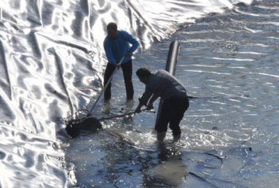 Bursa’da tilki kurtarma operasyonu