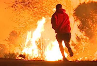 Tavşanı kurtarmak için çırpındı!