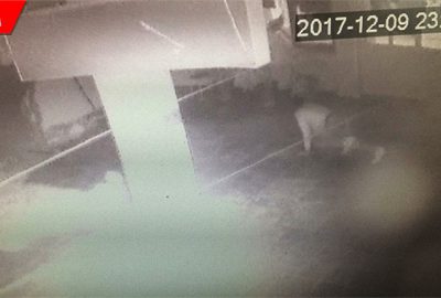 Kamerayı fark eden hırsız emekleyerek kaçtı