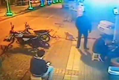 Uyuyan köpeğe tekme attı!